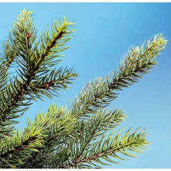 Hot DecoWoerner Künstlicher Christbaum Douglastanne Mit LED 210 Cm grün
