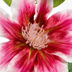 New DecoWoerner Künstlicher Clematis-Zweig Pink - Weiß , 80 Cm rosa