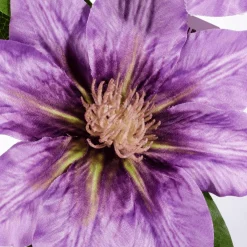 DecoWoerner Künstlicher Clematis-Zweig Lila, 80 Cm violett
