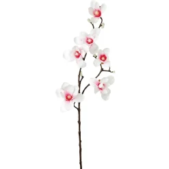 Hot DecoWoerner Künstlicher Edel-Magnolienzweig, Weiß/rosa, 100 Cm mehrfarbig