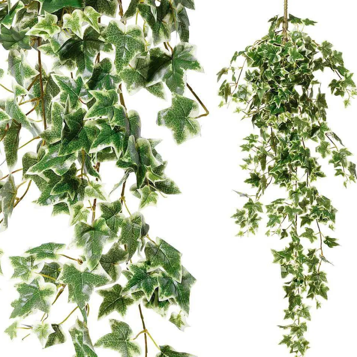 Discount DecoWoerner Künstlicher Efeubusch Mit Steckstab - Weiß, 114 Cm grün