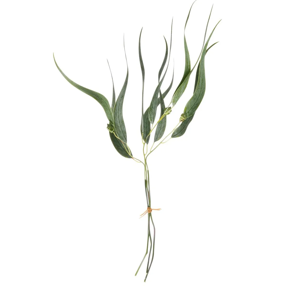 DecoWoerner Künstlicher Eucalyptus, 60 Cm grün