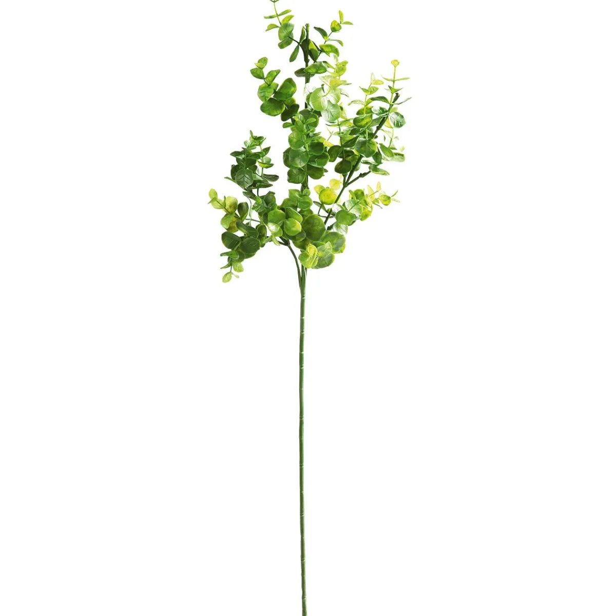 Outlet DecoWoerner Künstlicher Eukalyptus-Zweig 60 Cm grün