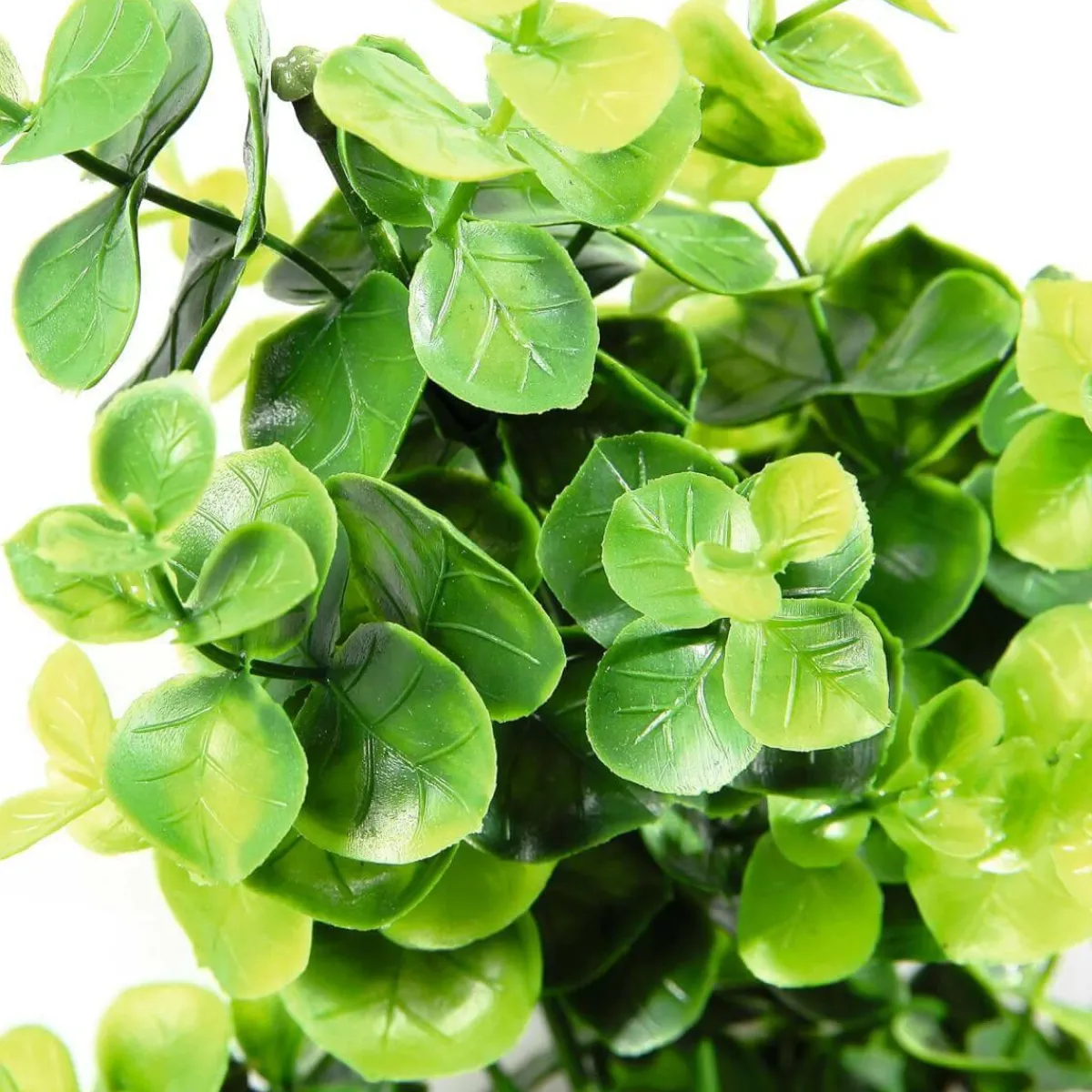 Outlet DecoWoerner Künstlicher Eukalyptus-Zweig 60 Cm grün
