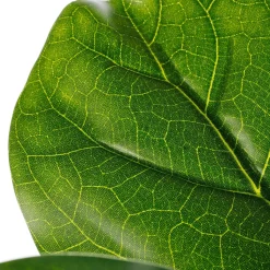 Sale DecoWoerner Künstlicher Feigenbaum Im Topf 174 Cm grün