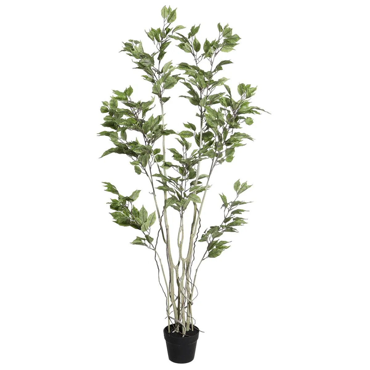 Clearance DecoWoerner Künstlicher Ficusbaum Im Topf grün