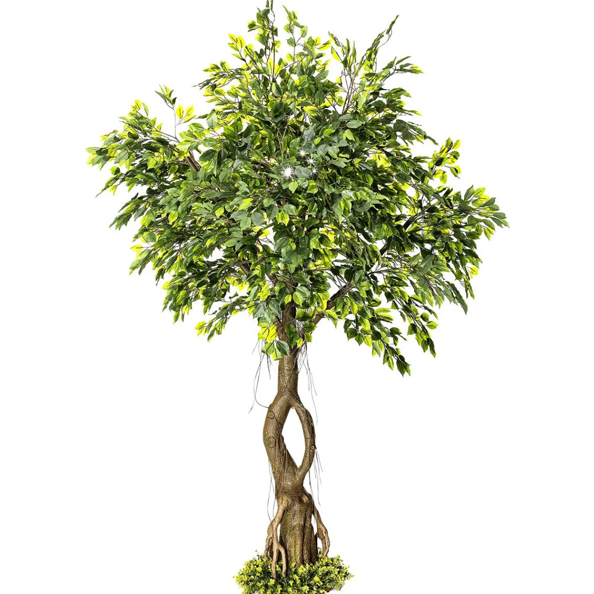 Outlet DecoWoerner Künstlicher Ficusbaum Mit Standplatte 245 Cm grün