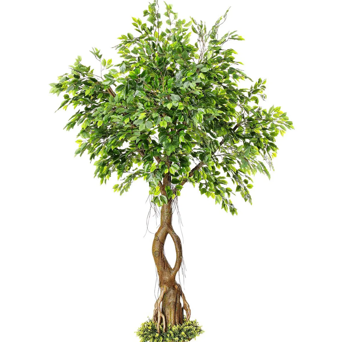 Outlet DecoWoerner Künstlicher Ficusbaum Mit Standplatte 245 Cm grün