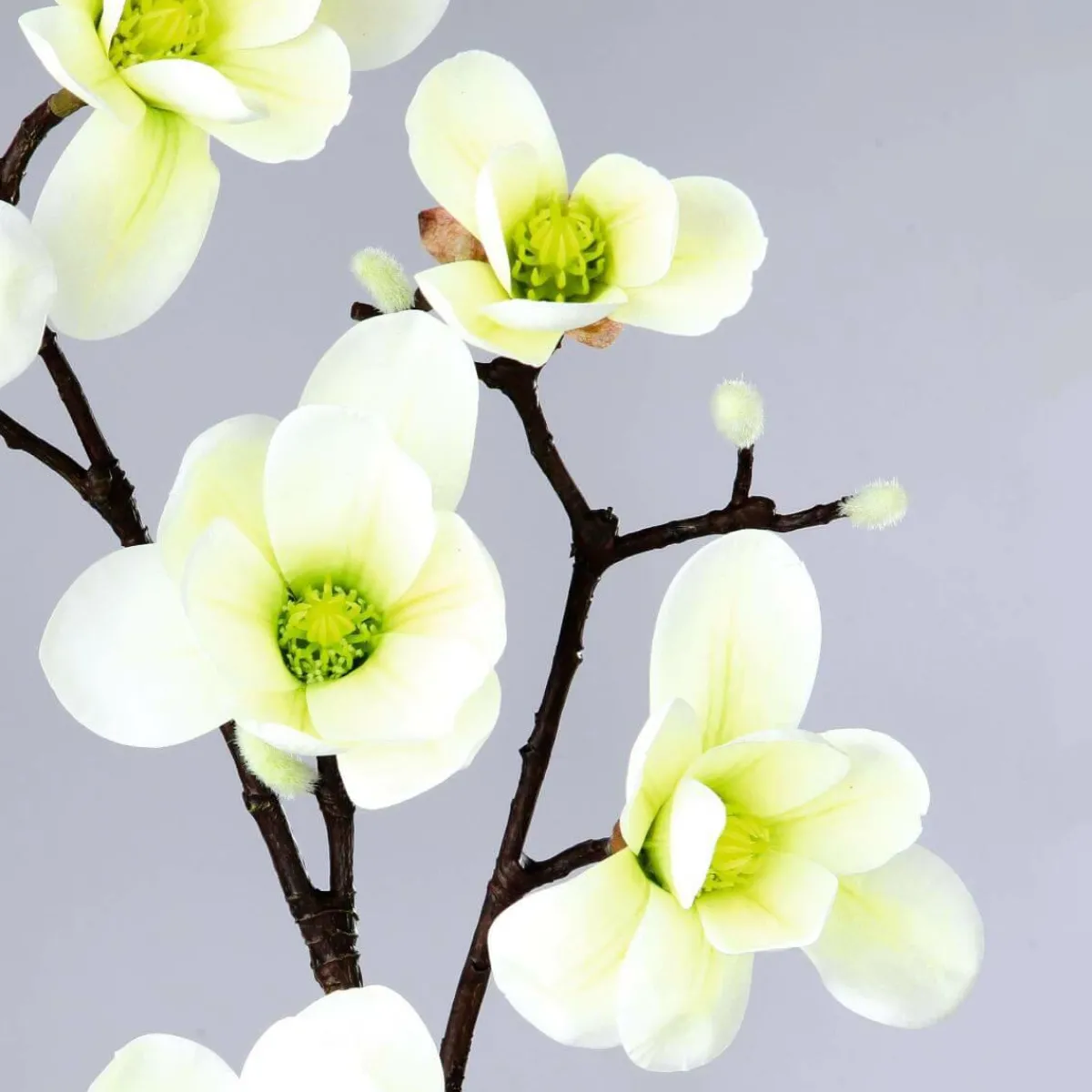 DecoWoerner Künstlicher Magnolienzweig, -grün, 100 Cm weiß
