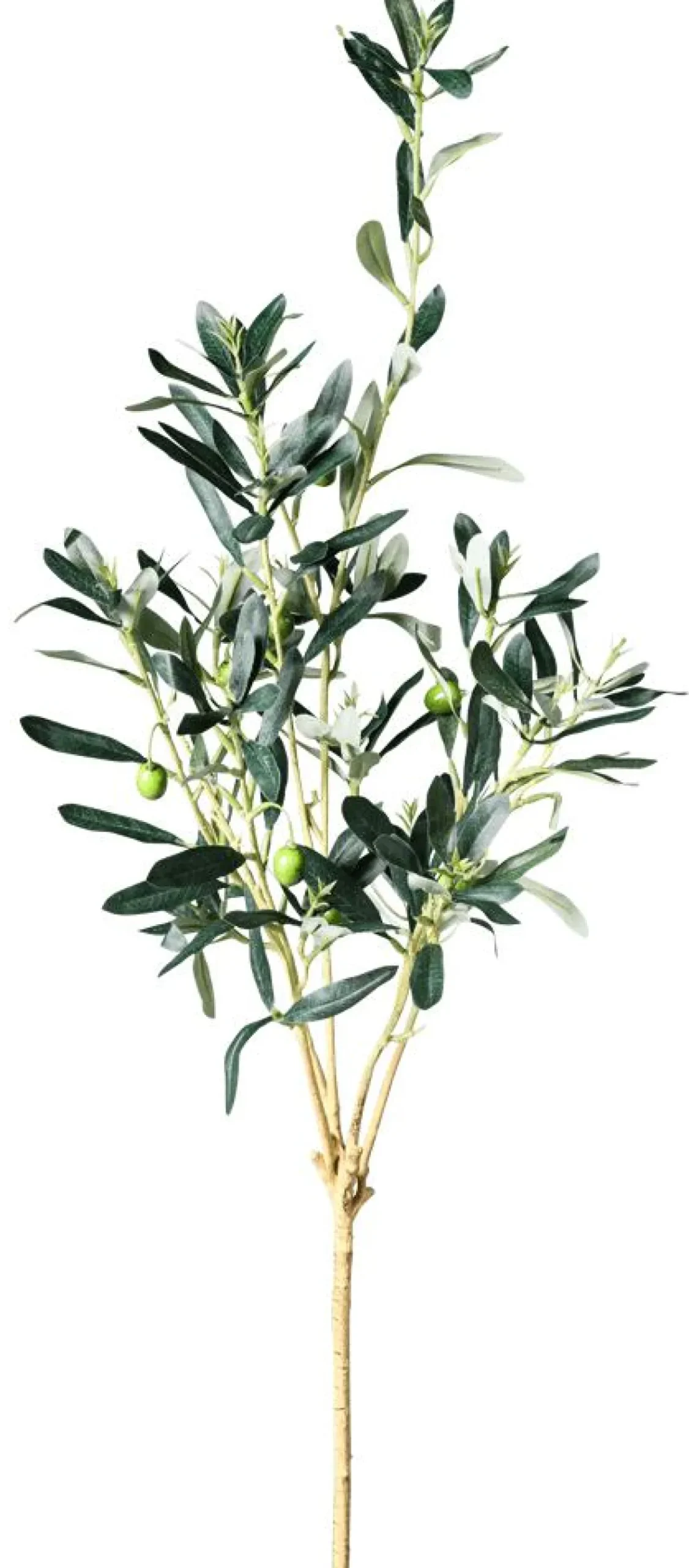 Clearance DecoWoerner Künstlicher Olivenzweig 84 Cm grün