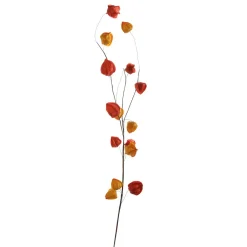 Clearance DecoWoerner Künstlicher Physalis-Zweig, 80 Cm orange