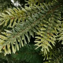 New DecoWoerner Künstlicher Tannenbaum Colorado 1,8m grün