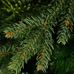 New DecoWoerner Künstlicher Tannenbaum Colorado 1,8m grün