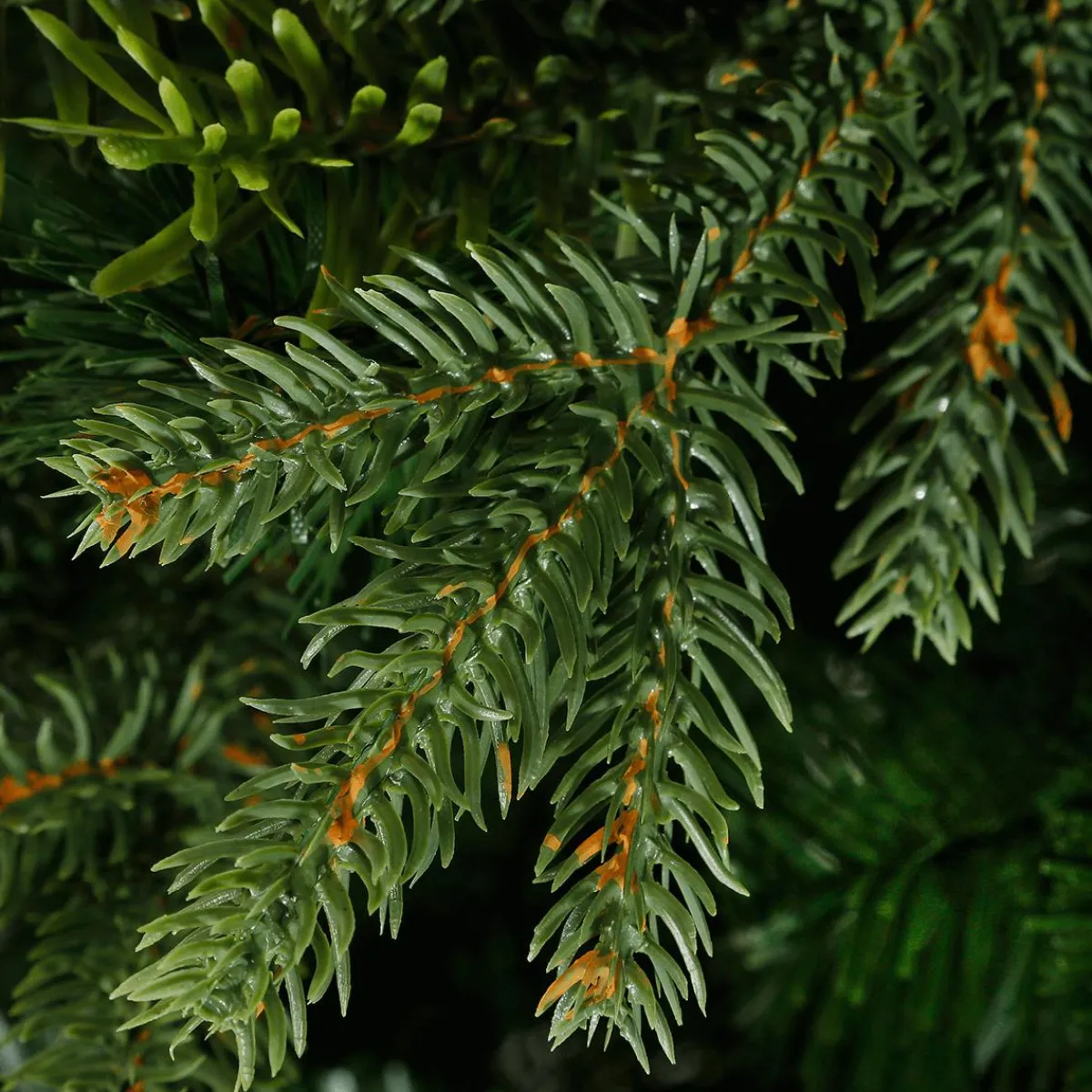 New DecoWoerner Künstlicher Tannenbaum Colorado 1,8m grün