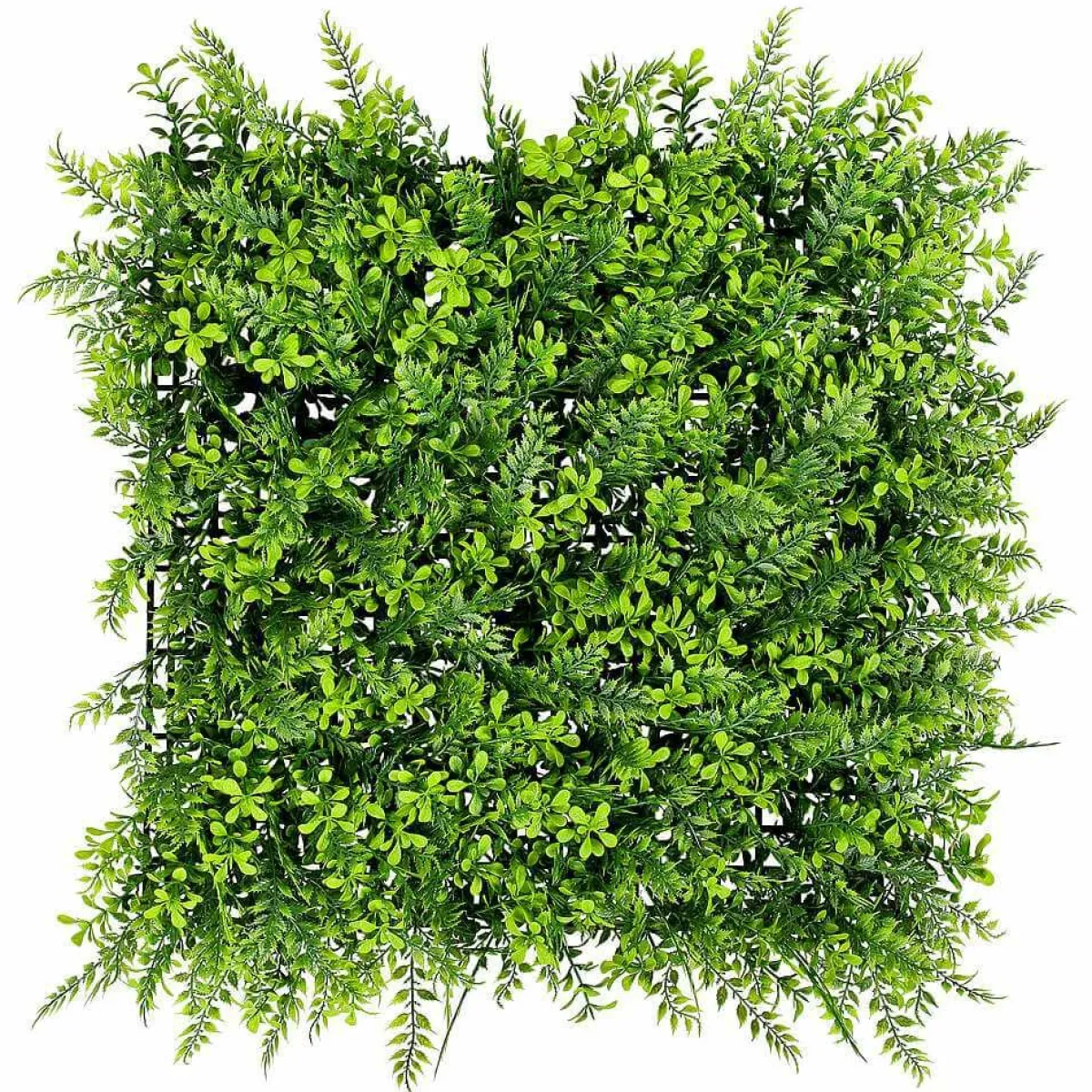 Outlet DecoWoerner Künstliches Buchs-Farn-Paneel, 50 X 50 Cm grün