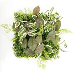 New DecoWoerner Künstliches Fittonia-Buchs-Paneel 25 X 25 Cm grün