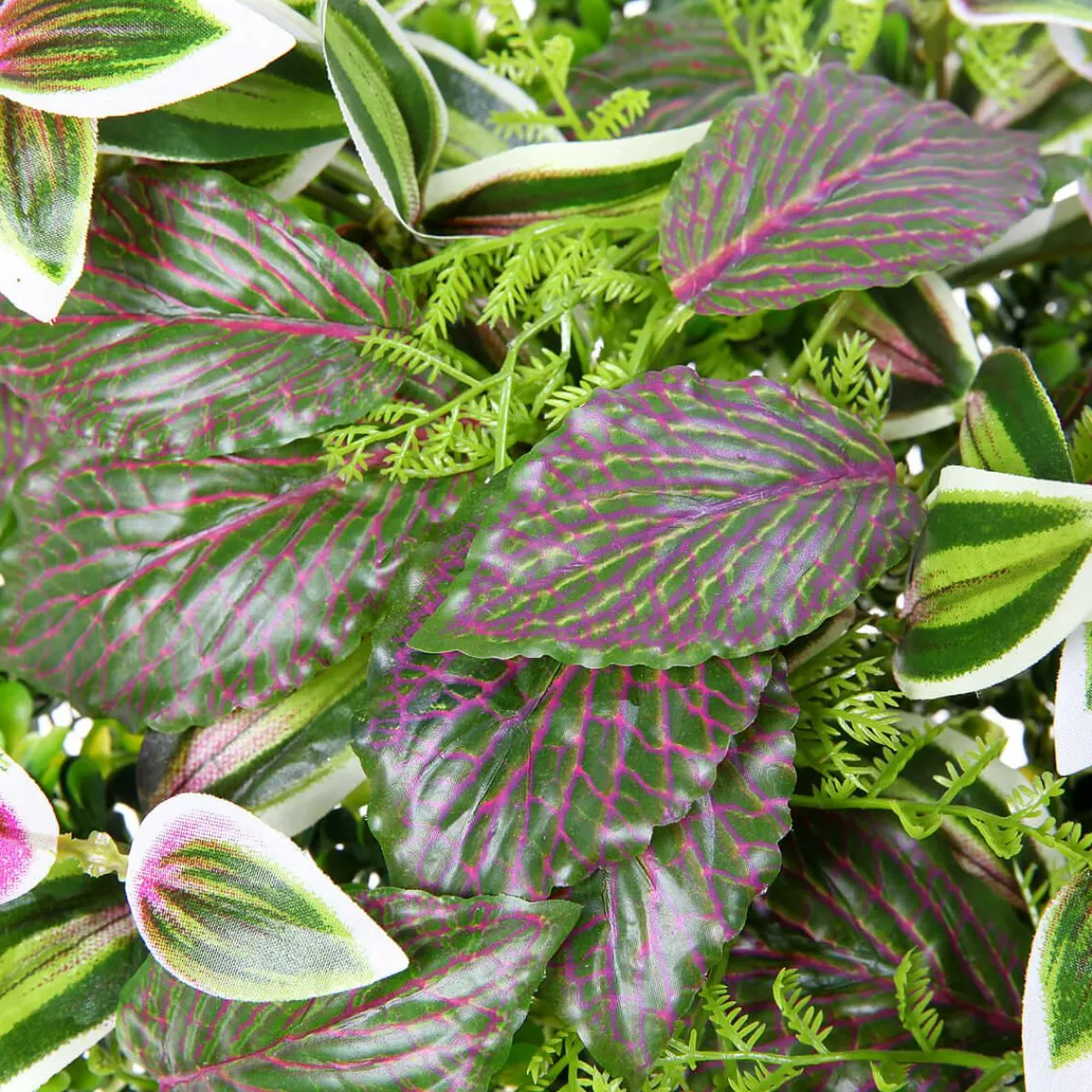 New DecoWoerner Künstliches Fittonia-Buchs-Paneel 25 X 25 Cm grün