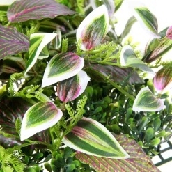 New DecoWoerner Künstliches Fittonia-Buchs-Paneel 25 X 25 Cm grün