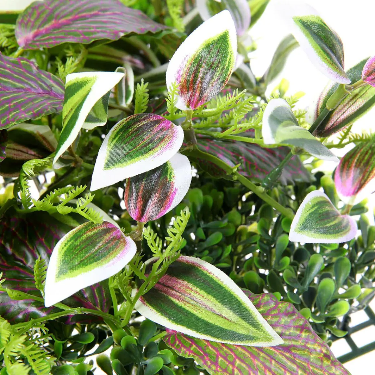 New DecoWoerner Künstliches Fittonia-Buchs-Paneel 25 X 25 Cm grün