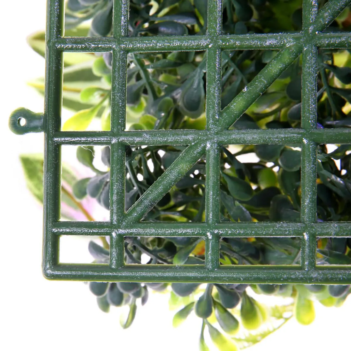 New DecoWoerner Künstliches Fittonia-Buchs-Paneel 25 X 25 Cm grün