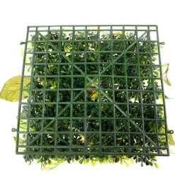 New DecoWoerner Künstliches Fittonia-Buchs-Paneel 25 X 25 Cm grün