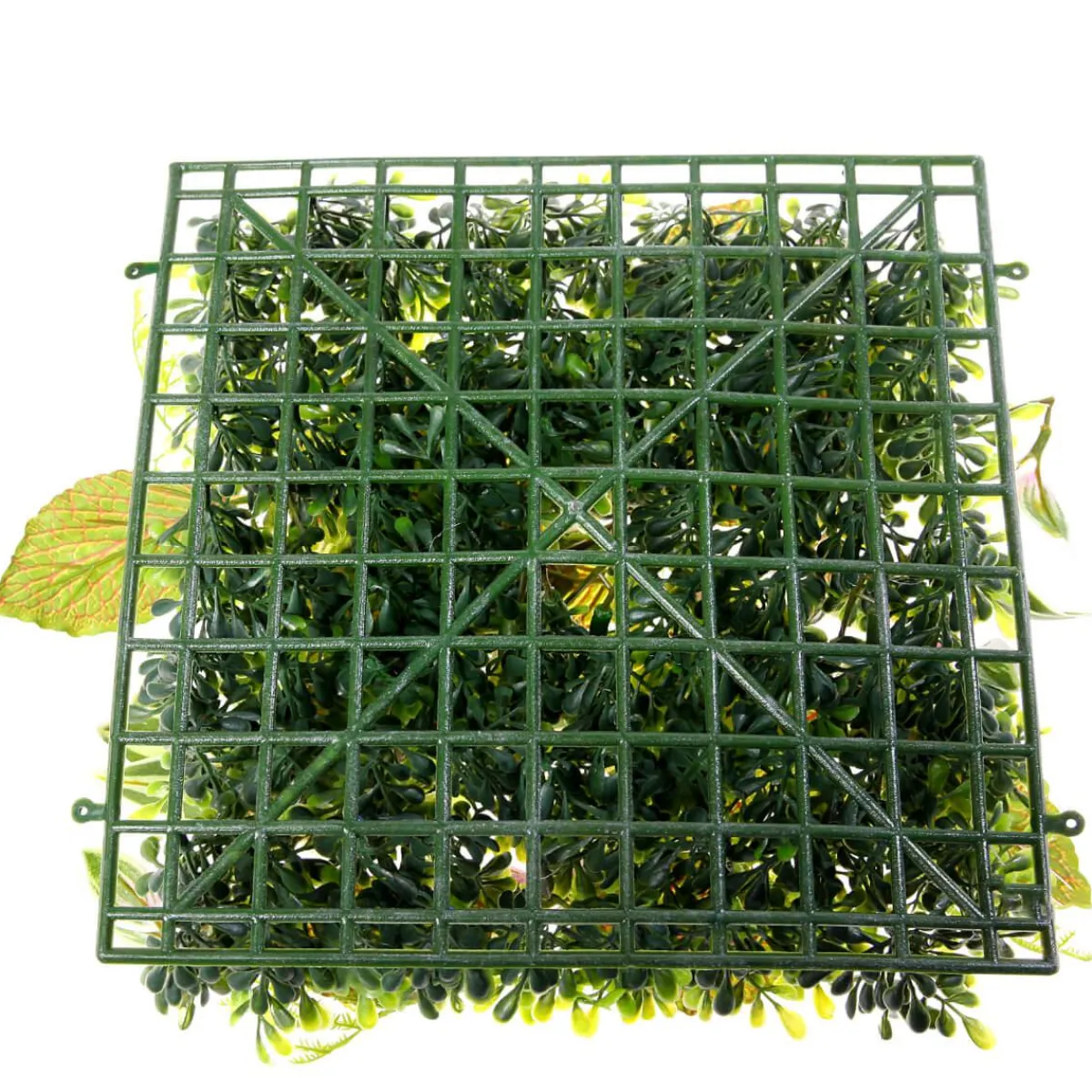 New DecoWoerner Künstliches Fittonia-Buchs-Paneel 25 X 25 Cm grün