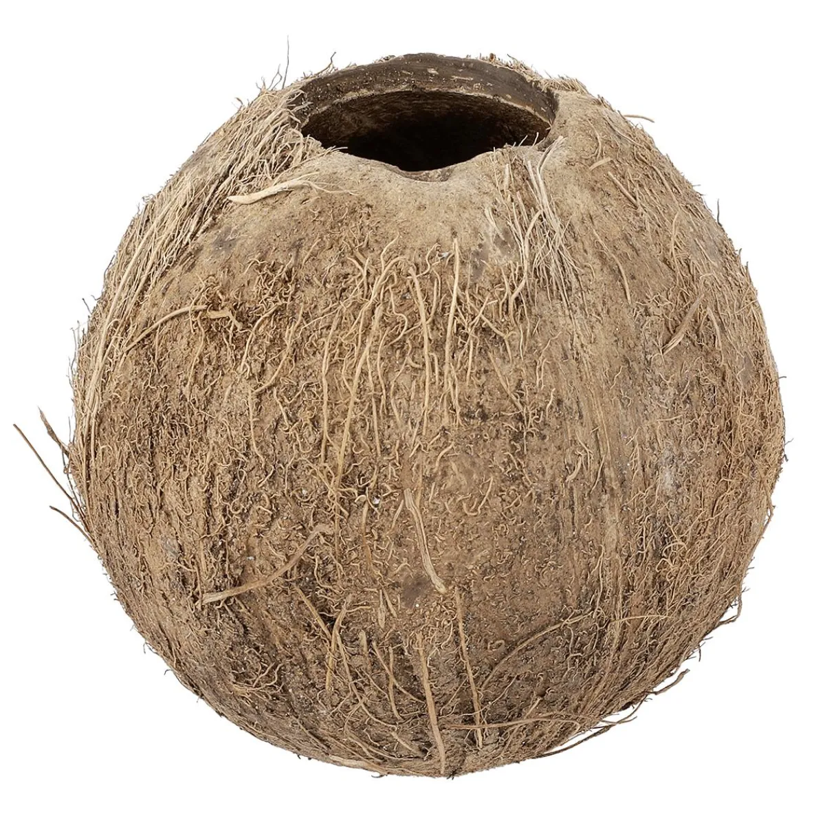 Hot DecoWoerner Kokosnuss 12 Cm Ø Befüllbar braun