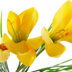Sale DecoWoerner Krokus Kunstblumen 5er Set 30 X 10 Cm (HxB) gelb
