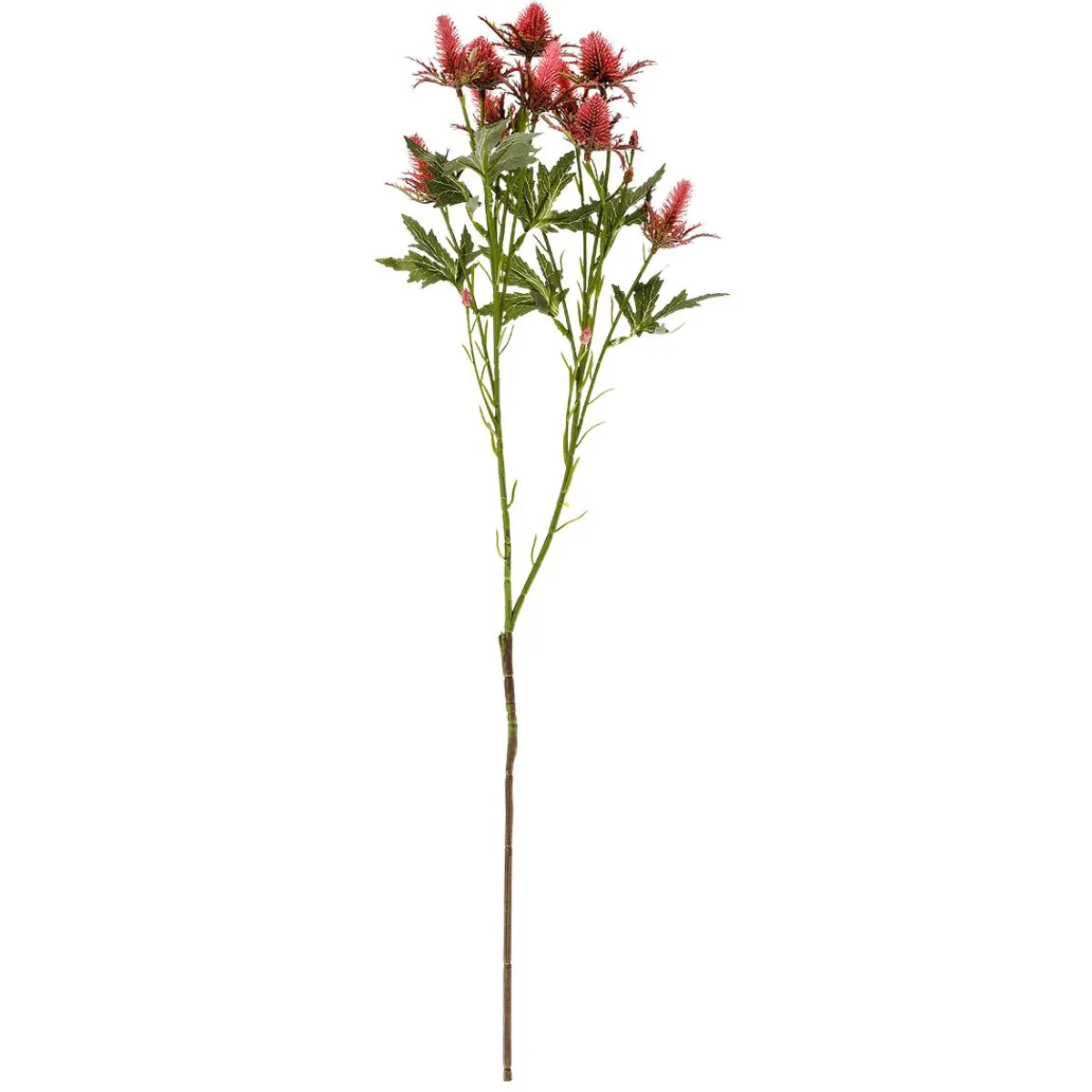 Outlet DecoWoerner Kunstblume Distel , 68 Cm rot