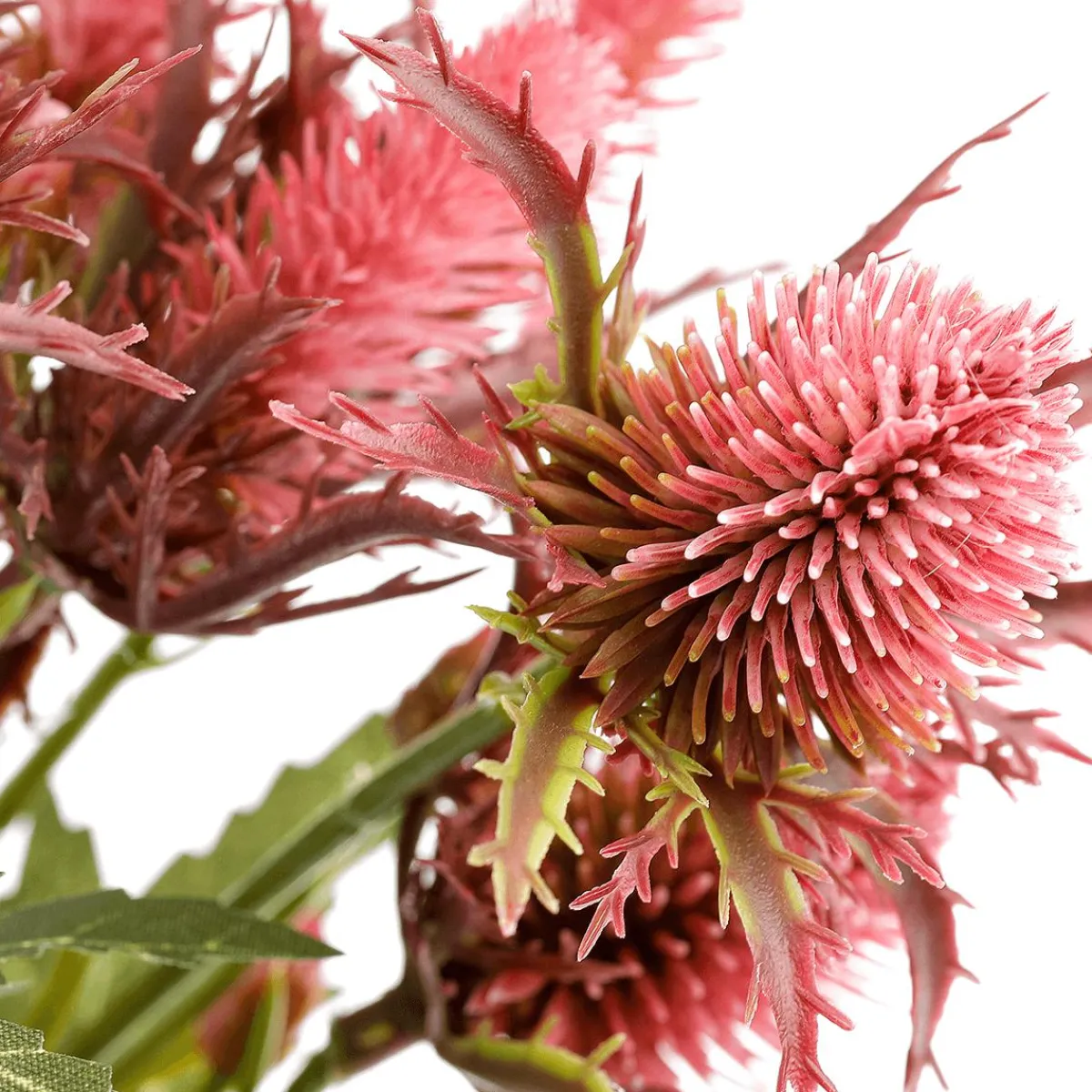 Outlet DecoWoerner Kunstblume Distel , 68 Cm rot