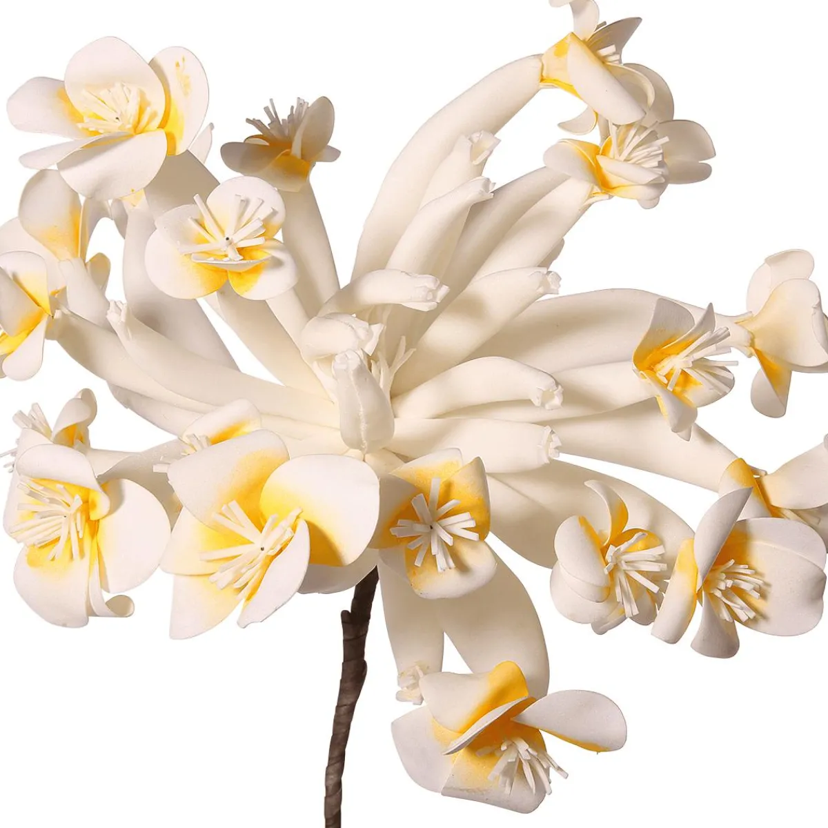 Sale DecoWoerner Kunstblume Frangipani 85 Cm weiß