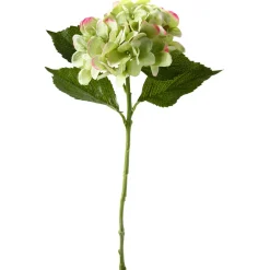 Online DecoWoerner Kunstblume Hortensie , 52 Cm grün