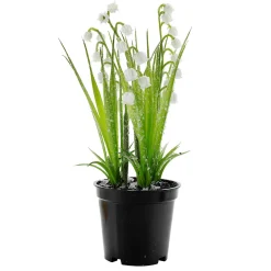 Online DecoWoerner Kunstblume Maiglöckchen Im Topf, 20 Cm weiß