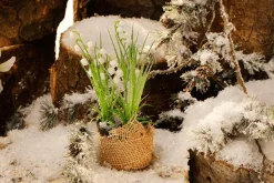 Online DecoWoerner Kunstblume Maiglöckchen Im Topf, 20 Cm weiß