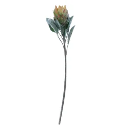 Sale DecoWoerner Kunstblume Protea, 72 Cm grün