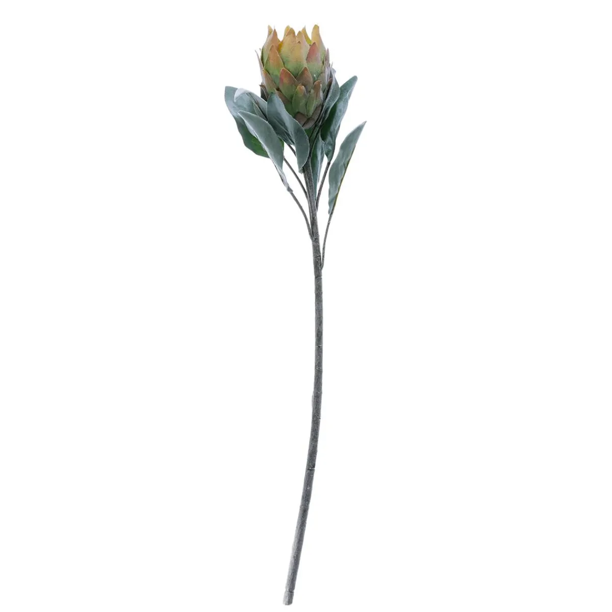 Sale DecoWoerner Kunstblume Protea, 72 Cm grün
