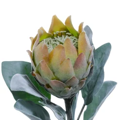 Sale DecoWoerner Kunstblume Protea, 72 Cm grün