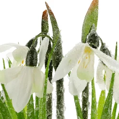 Sale DecoWoerner Kunstblume Schneeglöckchen Im Topf, 20 Cm Hoch weiß