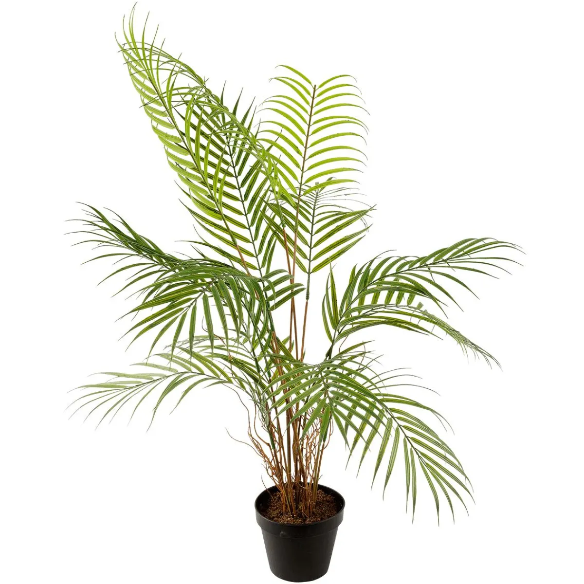 Outlet DecoWoerner Kunstpalme Areca Im Topf, 80 Cm grün