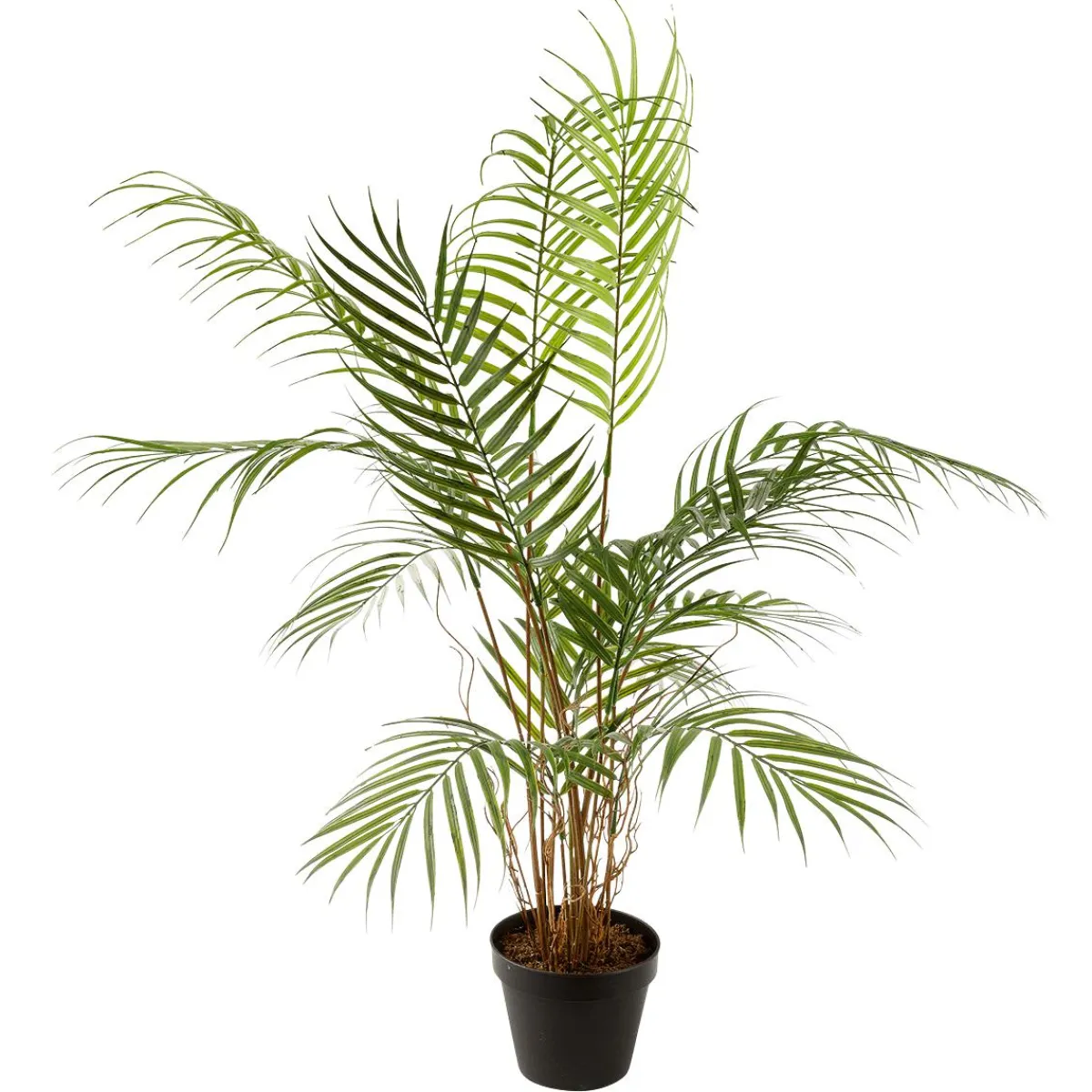 Outlet DecoWoerner Kunstpalme Areca Im Topf, 80 Cm grün