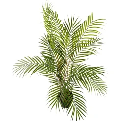 Outlet DecoWoerner Kunstpalme Areca Im Topf, 80 Cm grün