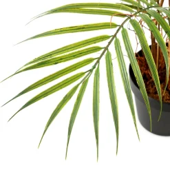 Outlet DecoWoerner Kunstpalme Areca Im Topf, 80 Cm grün