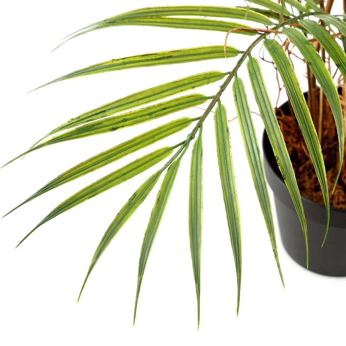 Outlet DecoWoerner Kunstpalme Areca Im Topf, 80 Cm grün