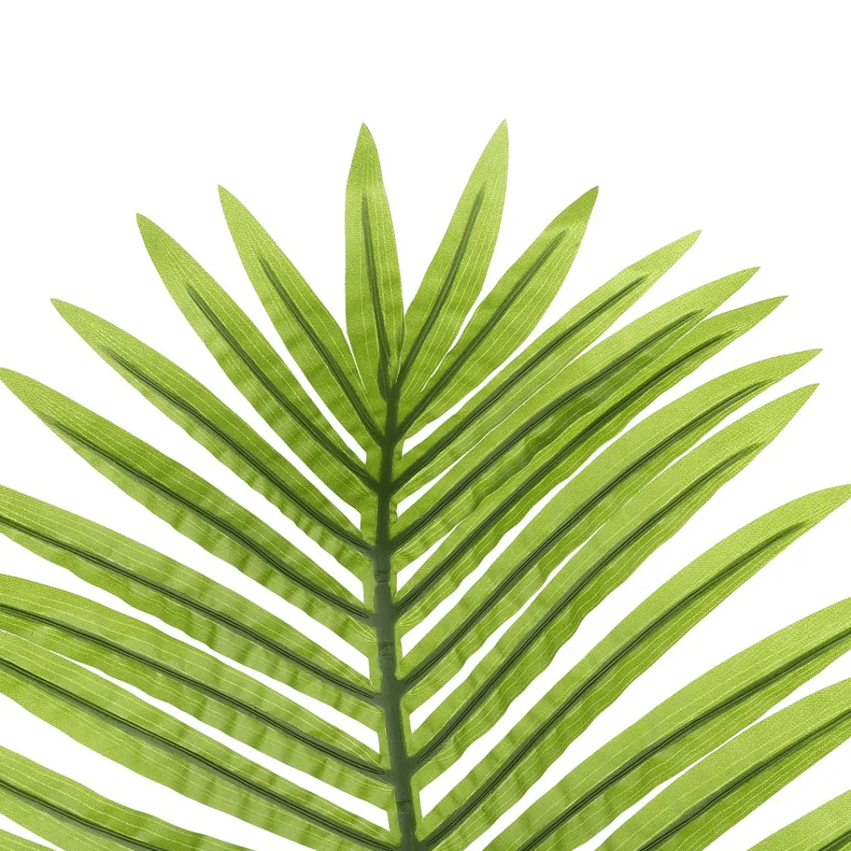 New DecoWoerner Kunstpalmen-Areca-Wedel, 98 Cm grün