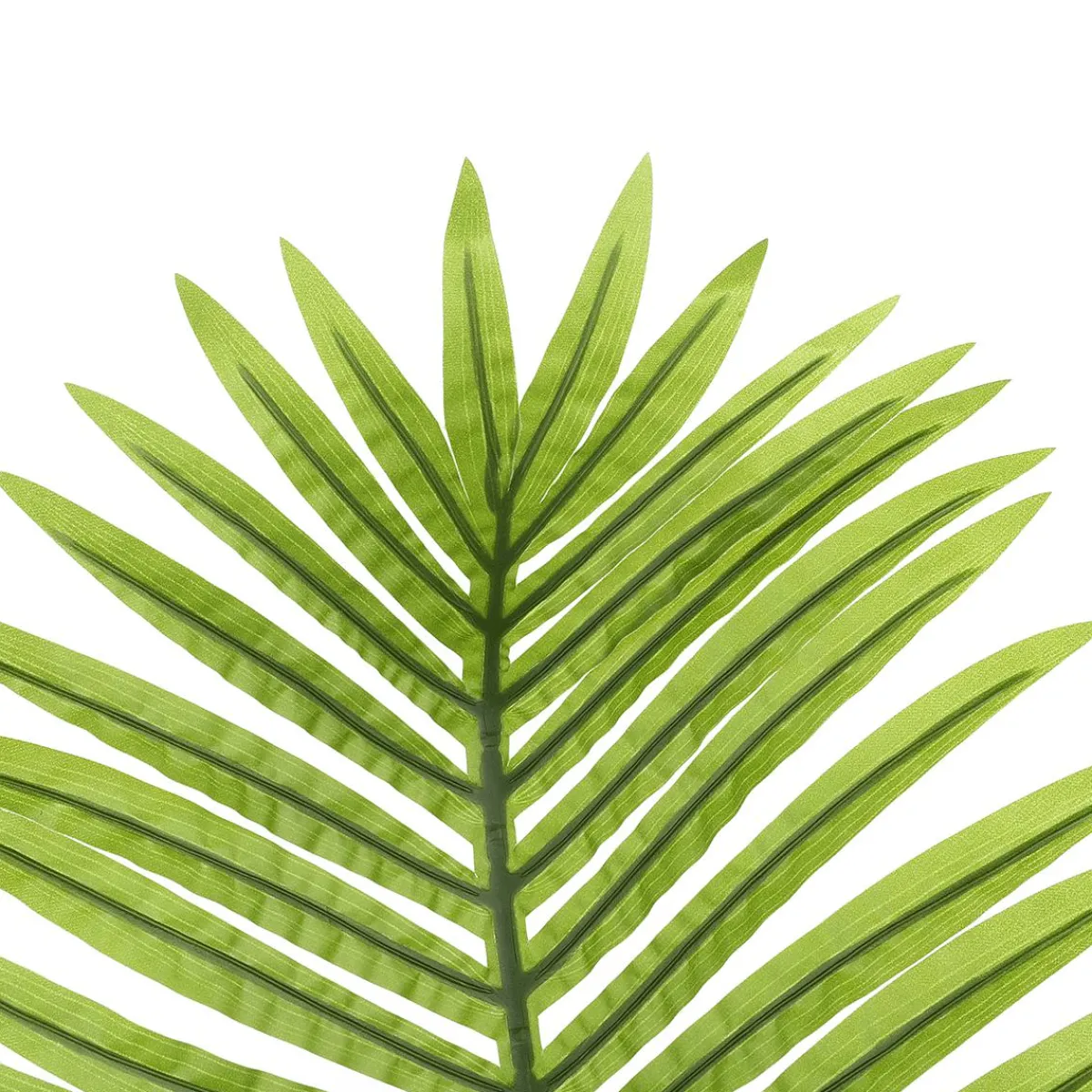 Outlet DecoWoerner Kunstpalmen-Areca-Wedel, 115 Cm grün