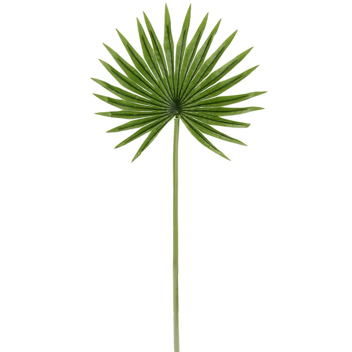 Clearance DecoWoerner Kunstpalmen-Fächer-Blatt 2 Stück, 66cm grün