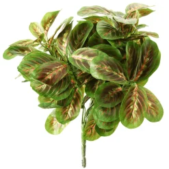 Online DecoWoerner Kunstpflanze Maranta-Busch, 30 Cm grün