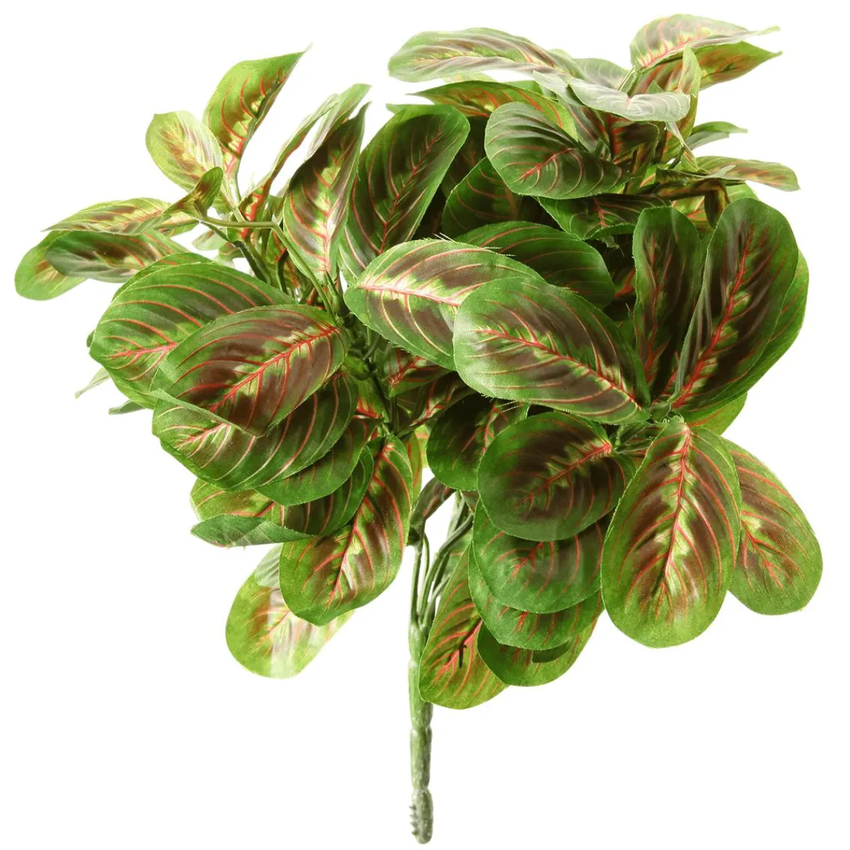 Online DecoWoerner Kunstpflanze Maranta-Busch, 30 Cm grün