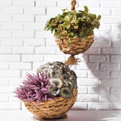 Online DecoWoerner Kunstpflanze Maranta-Busch, 30 Cm grün