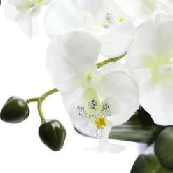 Clearance DecoWoerner Kunstpflanze Orchidee Im Topf , 28 Cm weiß
